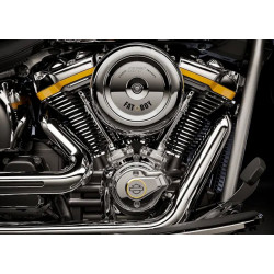 2025 Fat Boy Gray Ghost