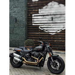 2024 FAT BOB 114