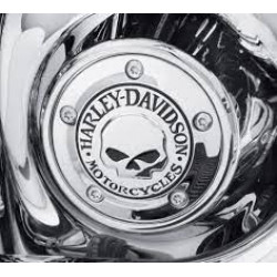 Кришка таймера Willie G Skull