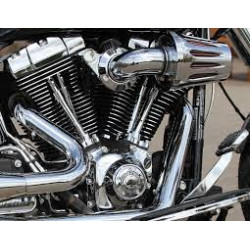 Крышка таймера Willie G Skull