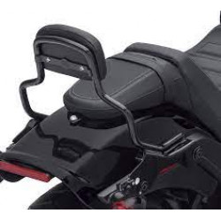 Вертикальна стійка HoldFast Sissy Bar. коротка