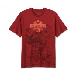 Мужская футболка Harley Davidson Freedom Machine