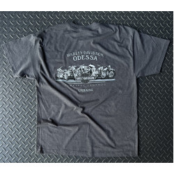 ЧОЛОВІЧА ФУТБОЛКА HARLEY-DAVIDSON Dark Custom Сірий