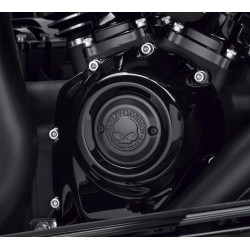 Кришка таймер, Skul