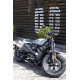 Harley-Davidson Sportster S 2026 — цвета и характеристики