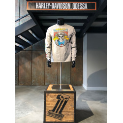 Мужская футболка Harley-Davidson Primary Design