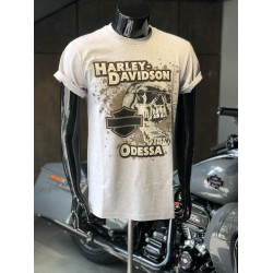 Мужская футболка Harley-Davidson Custom Skull серый