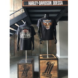 Мужская футболка Harley-Davidson Eagle Power черный