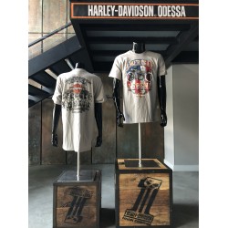 Мужская футболка Harley-Davidson Early Bike серый