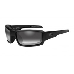Сонцезахисні окуляри Harley-Davidson HD JUMBO PPZ