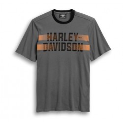 Чоловіча футболка Harley-Davidson Dual Stripe сіра