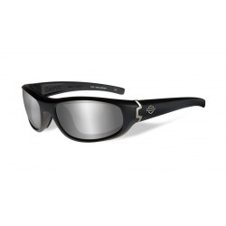 Солнцезащитные очки Harley-Davidson HD CURVE PPZ
