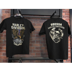 Мужская футболка Harley-Davidson EAGLE BLOCK чёрный