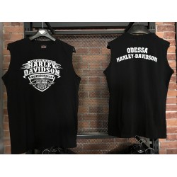 Мужская футболка Harley-Davidson FLAMES чёрный