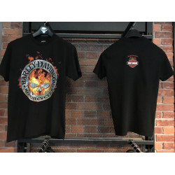 Мужская футболка Harley-Davidson THUNDER ROAR чёрный