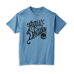 Мужская футболка Harley-Davidson  Skull синяя