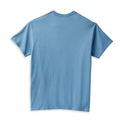 Мужская футболка Harley-Davidson  Skull синяя