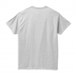 Чоловіча футболка Harley-Davidson Worldwide сіра